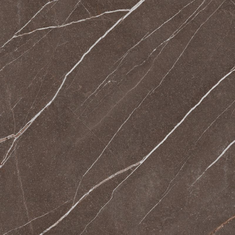 ARPA 3446 PULPIS DARK KER
