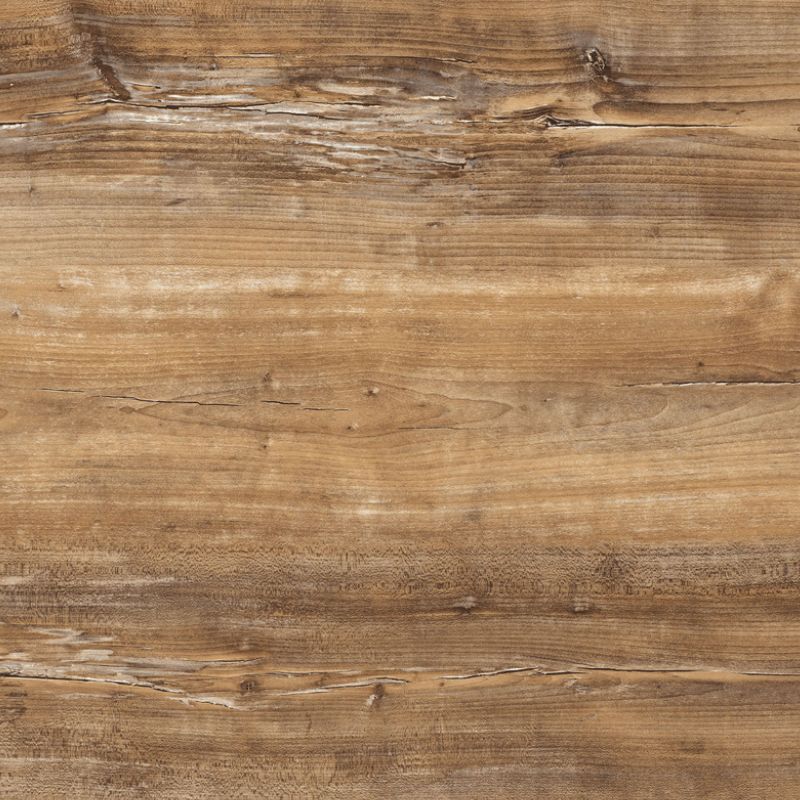 ARPA 4587 ROVERE SLAVONIA ALEVÉ